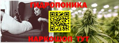 стаф Гусев