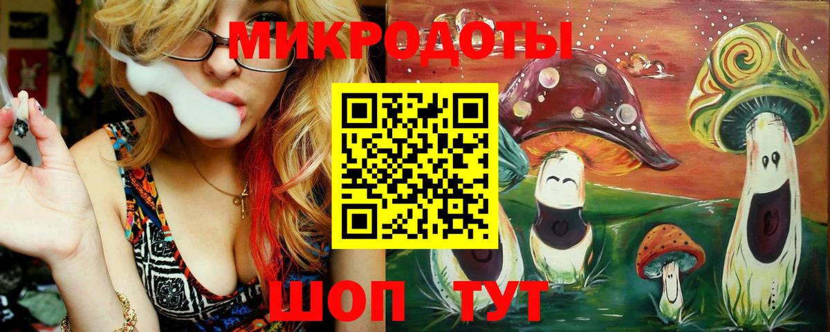 Псилоцибиновые грибы Psilocybine cubensis Мелеуз